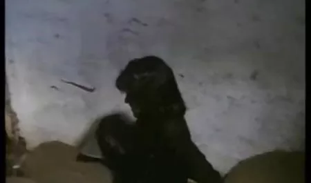 Mantan video bokep wanita jilbab Tenggorokannya membuat saya cum 2 kali